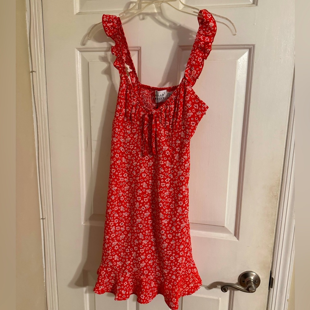 Hello Molly Red and White Floral Dress